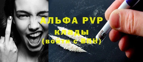 гашик Билибино