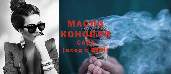 гашик Билибино