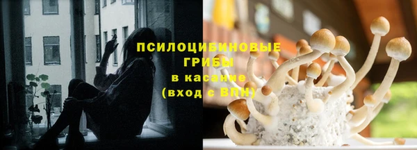 гашик Билибино