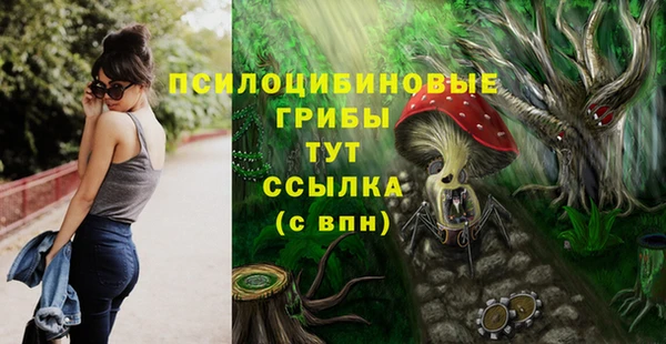гашик Билибино