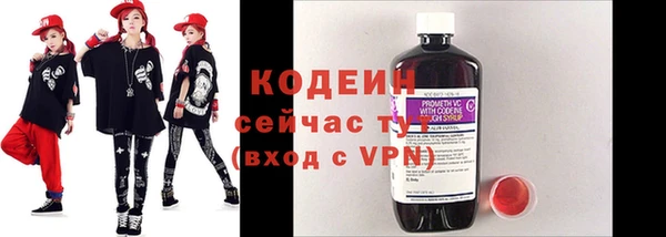гашик Билибино