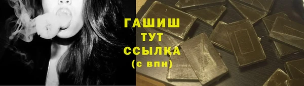гашик Билибино