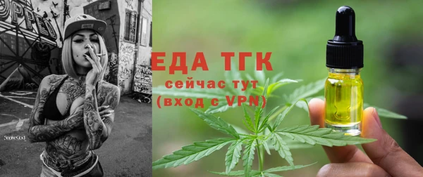 гашик Билибино