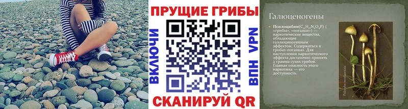 ссылка на мегу вход  где можно купить наркотик  Кашира  Псилоцибиновые грибы Cubensis 