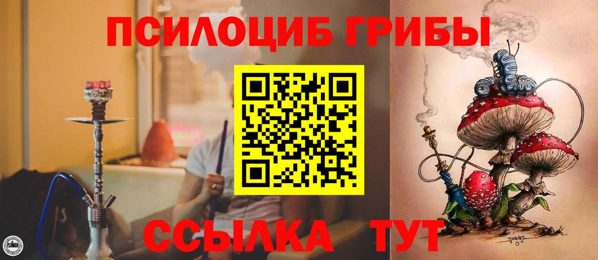 Кашира  Галлюциногенные грибы Psilocybine cubensis  дарнет шоп  Галлюциногенные грибы MAGIC MUSHROOMS  Вход с VPN 